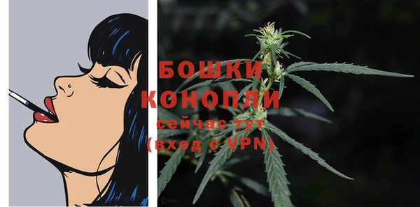 PSILOCYBIN Волоколамск