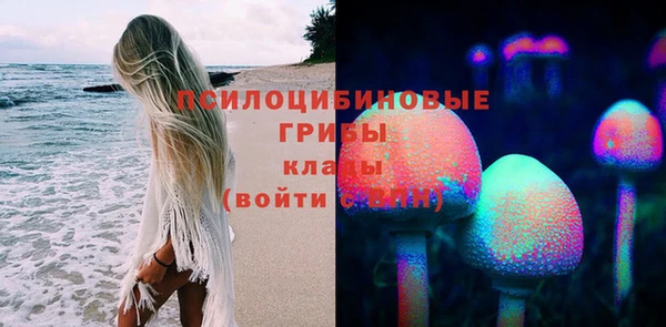 PSILOCYBIN Волоколамск