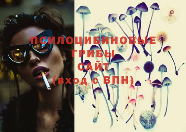 PSILOCYBIN Волоколамск