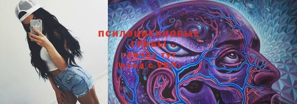 PSILOCYBIN Волоколамск